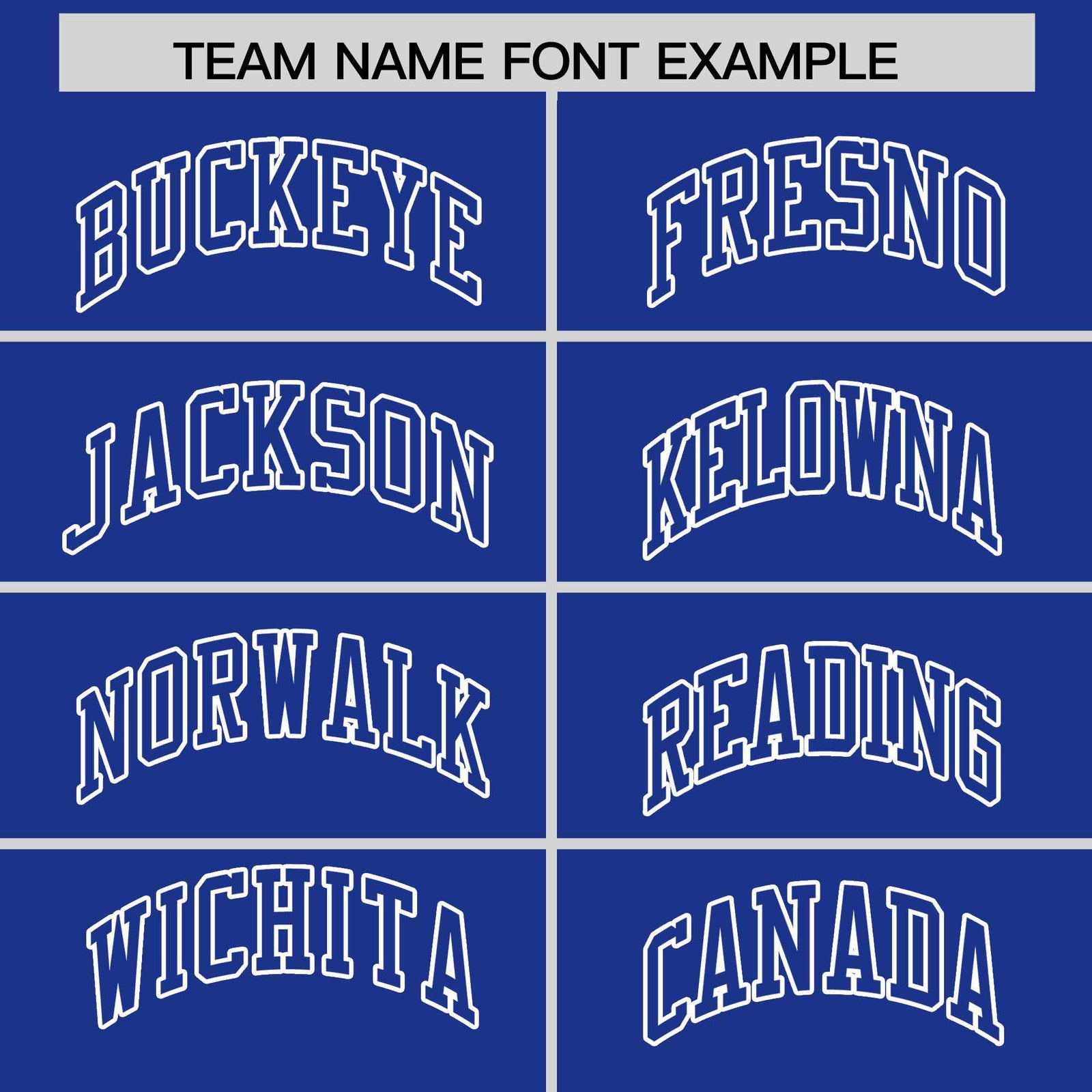 Custom Royal White Raglan Sleeves Varsity Full-Snap Letterman Two Tone Jacket Hoodie
